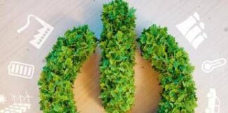 Energia, emissioni in crescita ma consumi fermi e prezzi tra i più alti d’Europa