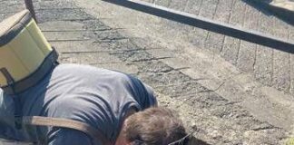 Epis (Statale Milano): “Le zanzare circolano ma la stagione è in ritardo nel Nord Italia”