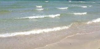 Estate, alert Ecdc: “Con mare più caldo sale rischio infezioni da batteri Vibrio”