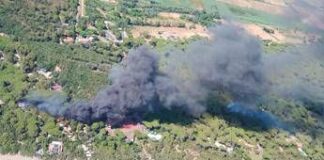 Fiamme nella pineta di Castiglione della Pescaia, 600 evacuati da un campeggio