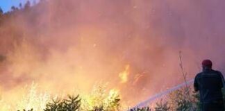 Incendi 2025, 3,3 roghi al giorno in sette mesi