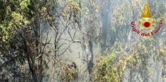 Incendio a Roma ovest, rogo di sterpaglie minaccia case e negozi