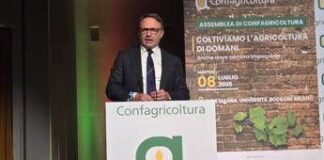 Lollobrigida: “Lavoriamo per evitare scelta folle Europa in agricoltura”