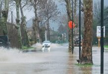 Maltempo, da Manildo a Camani (PD) e Contro (M5S): “Serve un nuovo piano per la sicurezza idrogeologica del Veneto” Maltempo in Veneto, alcuni effetti