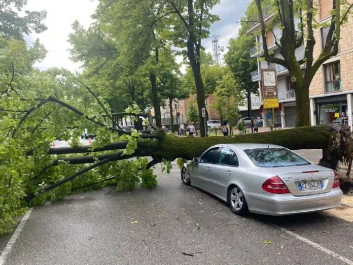 Maltempo nel Trevigiano (Conegliano)