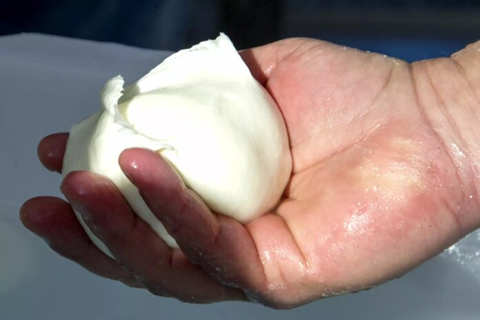 Mozzarella-di-bufala