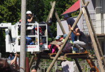Cantieri TAV a Vicenza, tensione al Bosco di Ca’ Alte questa mattina durante lo sgombero degli attivisti presidio bosco ca' alte