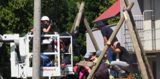 Cantieri TAV a Vicenza, tensione al Bosco di Ca’ Alte questa mattina durante lo sgombero degli attivisti presidio bosco ca' alte