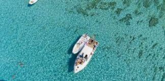 ‘Palermo tutto l’anno’, per turismo del mare e crocieristica numeri in crescita
