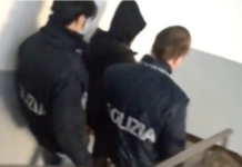 Espulso pluripregiudicato da Campo Marzo e via Napoli al CPR di Torino , Possamai: “Un passo avanti per la sicurezza in città” Pluripregiudicato arrestato (foto di repertorio)
