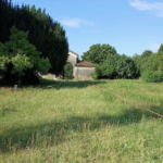 Vicenza, Spiller: Comune salva prati spontanei cimitero acattolico, da sue erbacee tipiche del Vicentino semi per ripopolare prati del Veneto Prati spontanei Cimitero acattolico di Vicenza