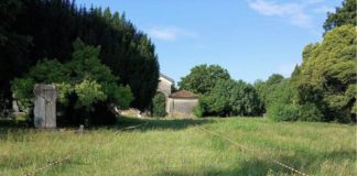 Vicenza, Spiller: Comune salva prati spontanei cimitero acattolico, da sue erbacee tipiche del Vicentino semi per ripopolare prati del Veneto Prati spontanei Cimitero acattolico di Vicenza