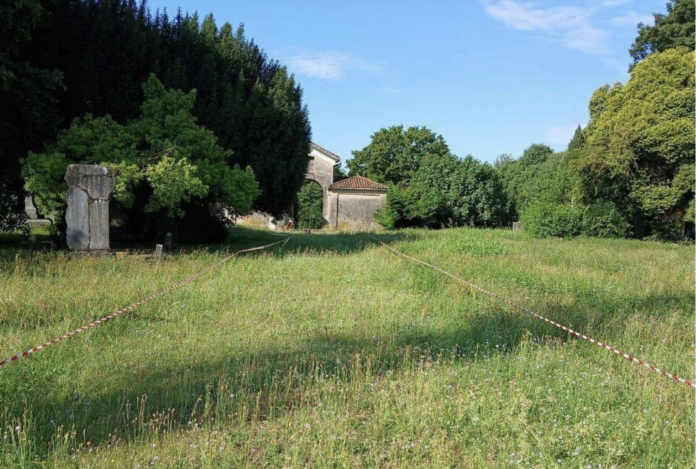 Prati spontanei Cimitero acattolico di Vicenza Prati spontanei Cimitero acattolico di Vicenza
