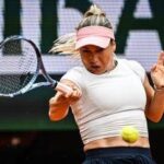 Putintseva interrompe match a Wimbledon: “Cacciate quell’uomo, è pericoloso”