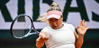 Putintseva interrompe match a Wimbledon: “Cacciate quell’uomo, è pericoloso”