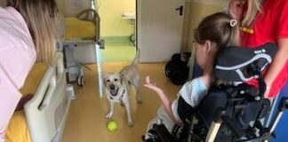 Sma, al Besta studio benefici pet therapy con Purina e Frida’s Friends