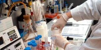 Studio italiano sul morbillo: “Dove vaccinazioni calano virus più vario e resiliente”