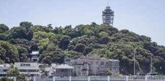Terremoto di magnitudo 8.8 in Kamchatka. Allerta tsunami in Giappone, Russia e parte degli Usa
