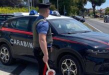 Treviso, non si ferma ad alt carabinieri e finisce contro un albero: morto 23enne