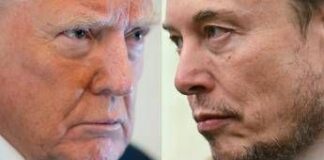 Trump, nuovo attacco a Musk: “Rivedere sussidi alle sue aziende, senza tornerebbe in Sudafrica’