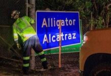 Usa, in Italia il 5 agosto cittadino italiano detenuto ad Alligator Alcatraz