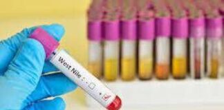 West Nile, medici ambiente: “+250mila morti l’anno per malattie da clima entro 2050”