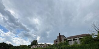 Salvo il bosco Lanerossi. Il sindaco di Vicenza Possamai: “Il cantiere Tav sarà spostato e l’area verde diventerà pubblica” bosco lanerossi salvo