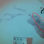Caso Garlasco, procura mette la parola fine su impronta 33: non c’è sangue garlasco