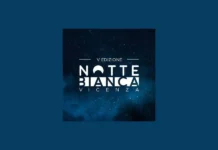 Notte Bianca a Vicenza, si parte. Oltre 150 persone impegnate a garantire che siano tre giorni di festa in sicurezza notte bianca a vicenza