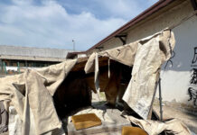 Degrado all’ex consorzio agrario di Viale Trento. Il M.I.S. di Vicenza denuncia: “Ennesimo problema per la sicurezza in città” degrado all'ex consorzio agrario in viale trento a Vicenza