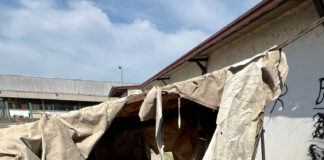 Degrado all’ex consorzio agrario di Viale Trento. Il M.I.S. di Vicenza denuncia: “Ennesimo problema per la sicurezza in città” degrado all'ex consorzio agrario in viale trento a Vicenza