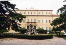 La fiaccola “Bagliore di Pace” a Thiene: il 3 settembre un evento per tutti i comuni del territorio per dire No alla guerra Bagliore di pace a Thiene