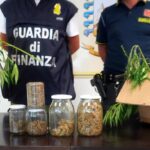 Chieti, 20 chili di marijuana nascosti tra la vegetazione