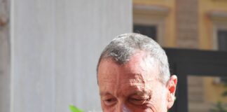 Baudo, Amadeus “Sarebbe giustissimo intitolargli Teatro delle Vittorie”