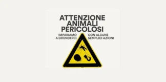 Prevenzione zanzare a Vicenza, le misure per contrastare il West Nile Virus raccomandate dall’Ulss 8 Berica zanzare vicenza