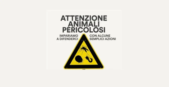 zanzare vicenza