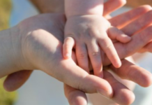 Vicenza, assessore Matteo Tosetto: avviso pubblico per costruire alleanze territoriali a sostegno delle famiglie alleanze territoriali