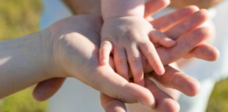 Vicenza, assessore Matteo Tosetto: avviso pubblico per costruire alleanze territoriali a sostegno delle famiglie alleanze territoriali