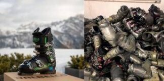 Ambiente, Italia prima in Ue per progetti Life approvati da Commissione da oltre 15 mln