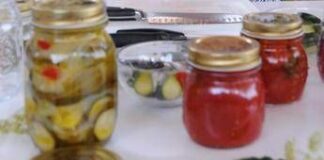 Bassetti, ‘non si può morire di botulino, troppa superficialità in preparazione alimenti’