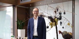 Vendemmia 2025, Caner “In Veneto ottime qualità e incremento della produzione”