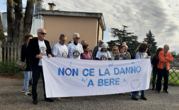 Caso Silva, il Comitato incalza la Provincia: “Sospendere subito la Conferenza dei Servizi” Caso Silva, manifestazione del Comitato Tuteliamo la Salute