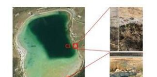 Da Pantelleria a Marte, in un lago siciliano si sperimenta l’origine della vita