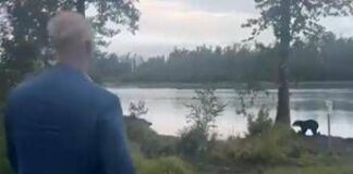 Dmitriev incontra un orso in Alaska prima del vertice: “Sia di buon auspicio”