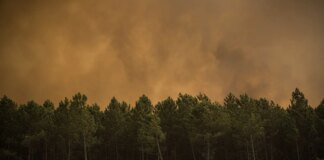 In Spagna rischio incendi in calo, ma in alcune aree l’allerta resta alta