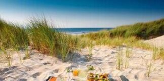 Estate, il pranzo al sacco dei bimbi contro il caro spiaggia, ‘km 0, sano e low cost’