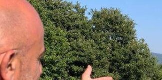 Ferragosto, Grillo (Turismo Verde-Cia): “Tra natura, relax e buon cibo sold out agriturismi”