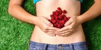 Il nutrizionista: “in forma e senza stress dopo il rientro? Il segreto è nutrire bene i batteri dell’intestino”