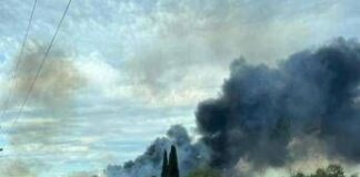 Incendi, 700 nel 2025 e 320 km quadrati in fumo, da Iss consigli salva-aria