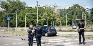 Donna travolta e uccisa a Milano, in luoghi protetti tre minori coinvolti. Si cerca il quarto